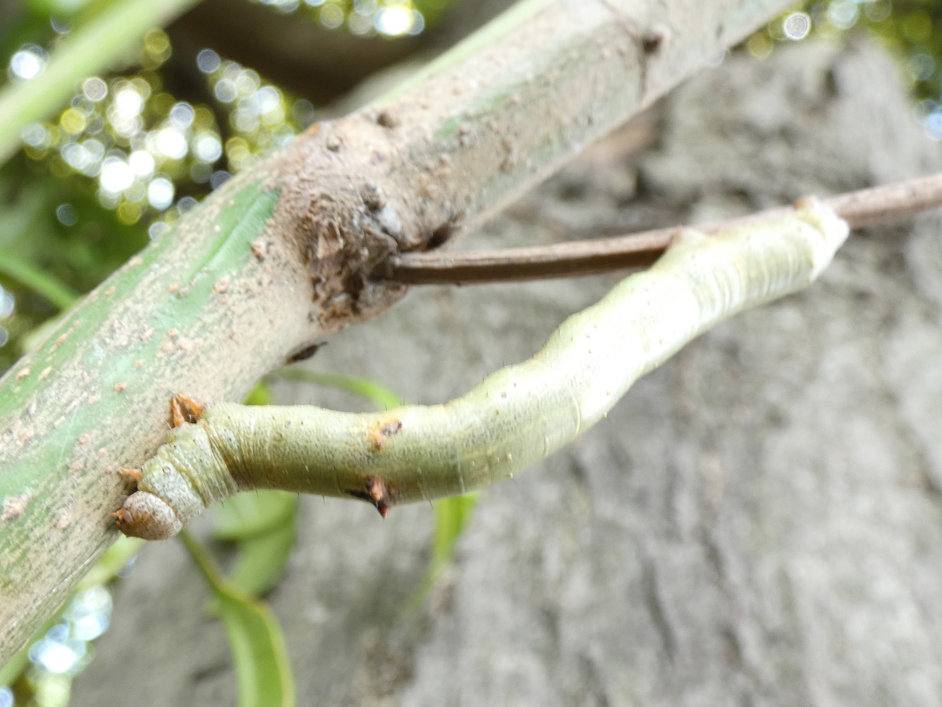 photo_2